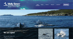 Desktop Screenshot of mollybawn.com